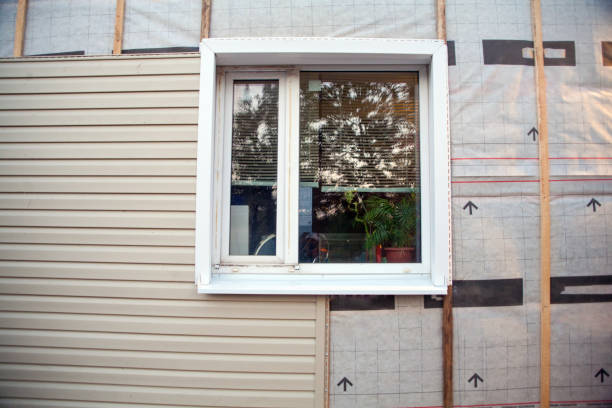 Best Custom Trim and Detailing for Siding  in USA